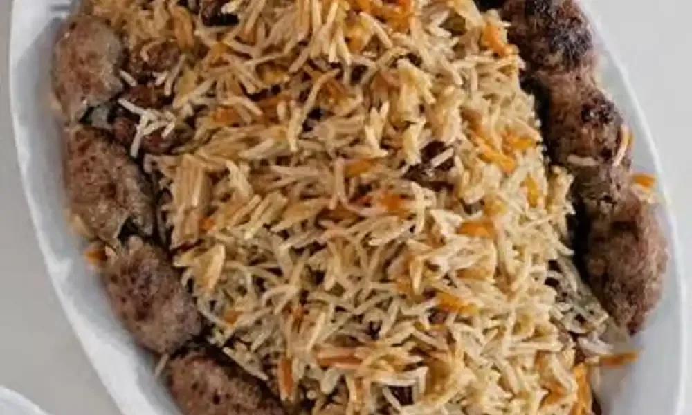 Shami Kabab & Rice